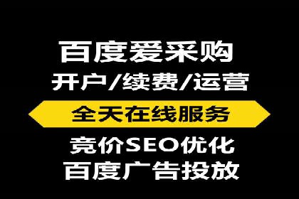 某知名企业SEM营销全案解析